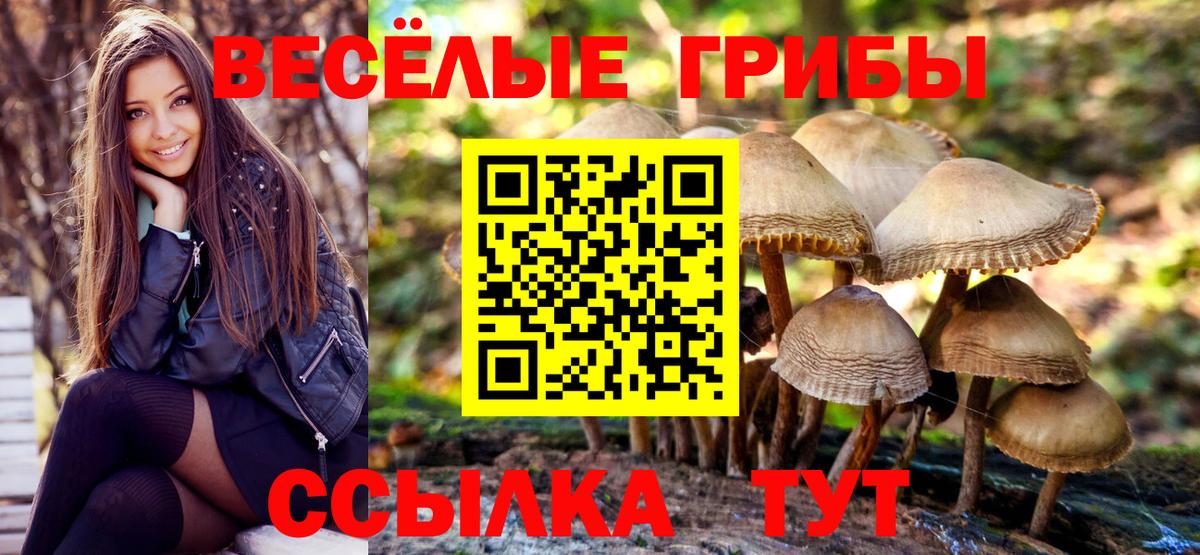 Псилоцибиновые грибы Psilocybine cubensis  Псилоцибиновые грибы Cubensis  Анапа 