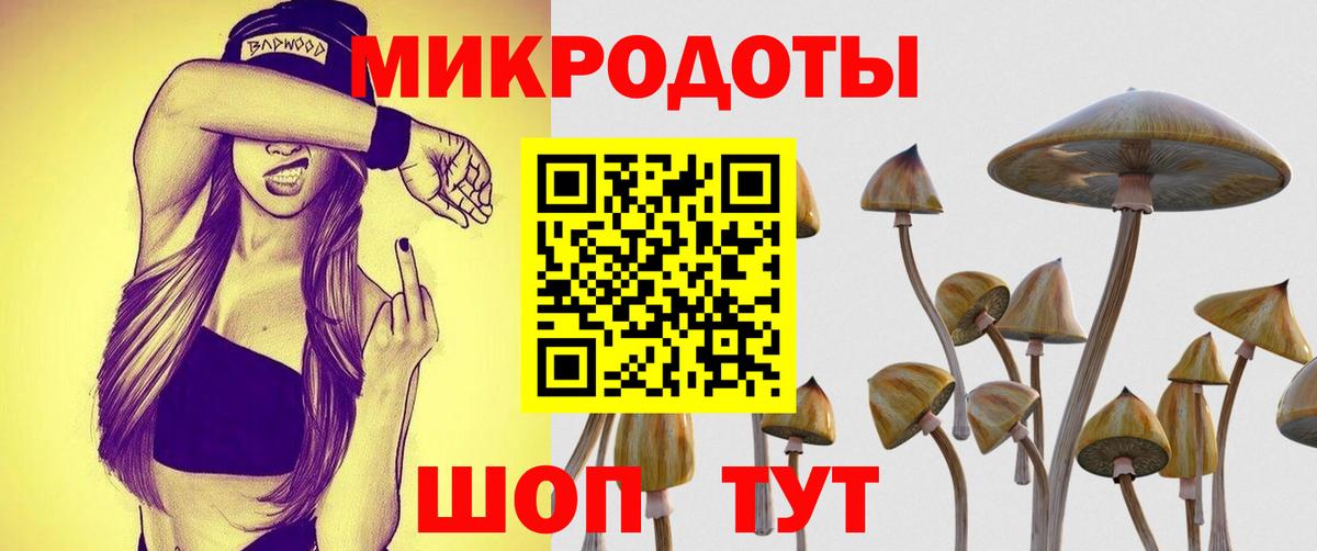 Псилоцибиновые грибы Psilocybine cubensis Анапа