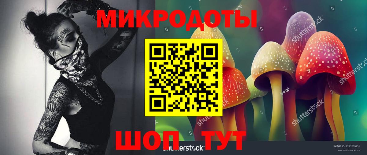 Галлюциногенные грибы мицелий  Вход с VPN  где купить   Галлюциногенные грибы прущие грибы  Анапа 